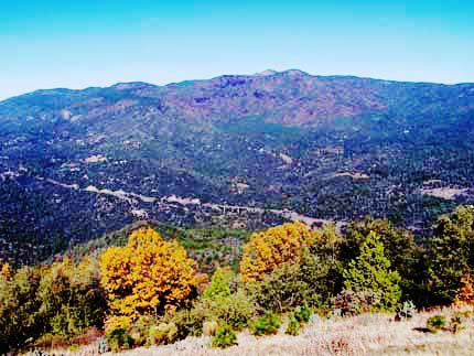 Photo, Picture looking North from the Tower