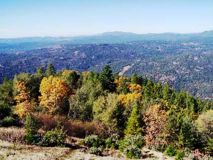 Photo, Picture looking Westnorth West from the Tower