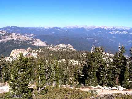 Photo, Looking North from the Tower