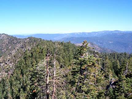 Photo, Picture looking North from the Tower